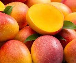 African Mango Seed Extract