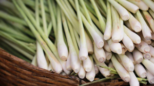 Lemongrass