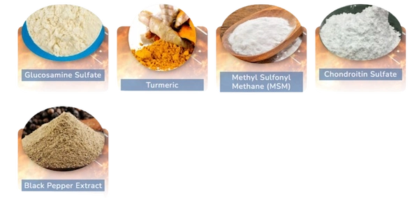 MoveWell-Daily-Ingredients