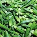 East Indian Okra Pods