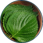 Fisetin and Perilla Leaf