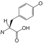 L-Tyrosine